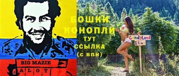соль ск Алзамай