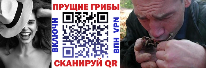 Галлюциногенные грибы Psilocybine cubensis  дарнет шоп  Ярцево 